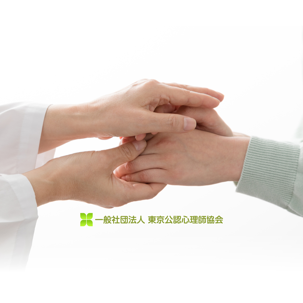 臨床心理士とは 一般社団法人東京公認心理師協会公式サイト
